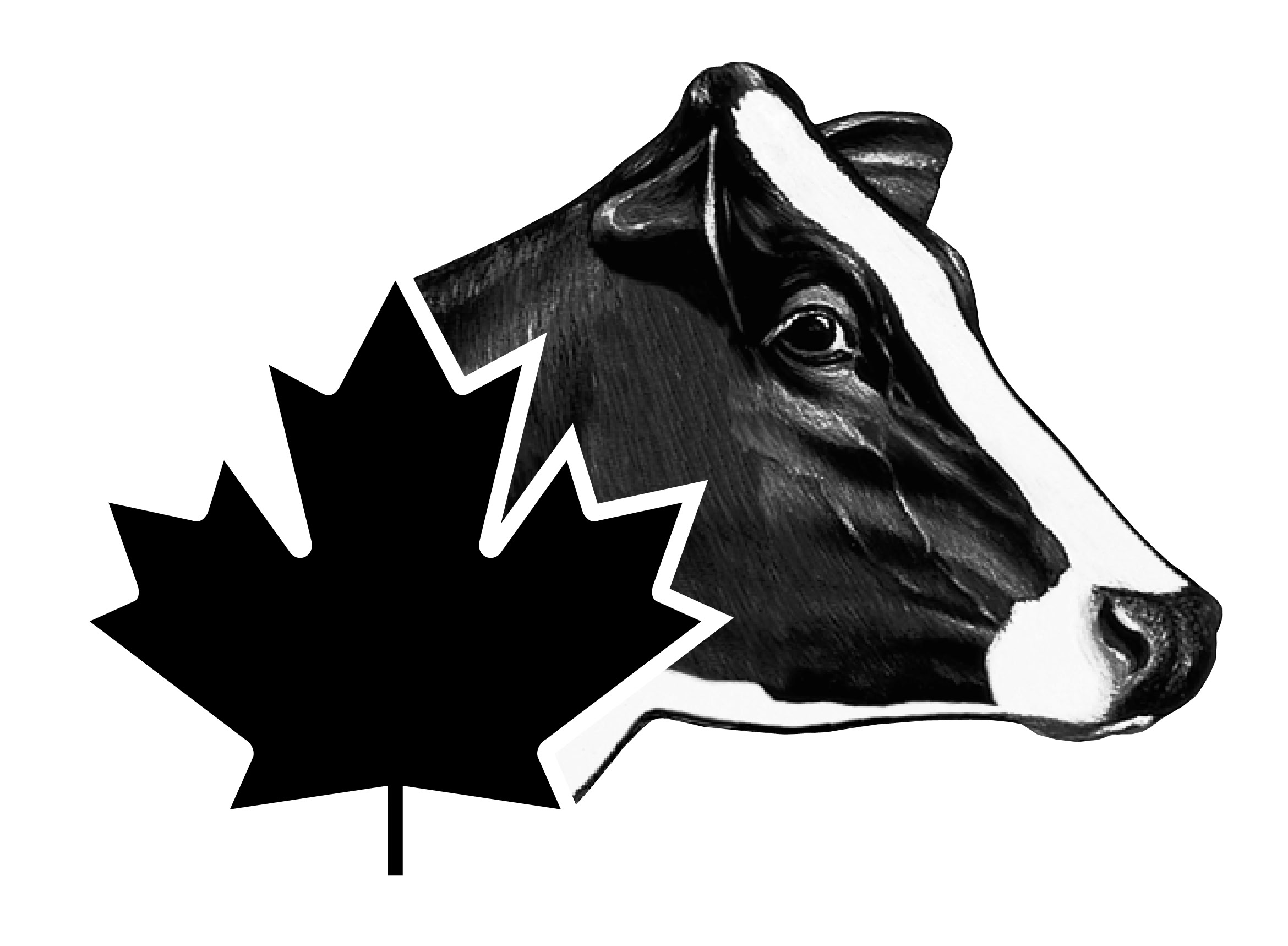 Holstein Canada_Logo_2022